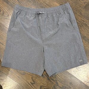 DSG Heather Gray Men's Performance Shorts